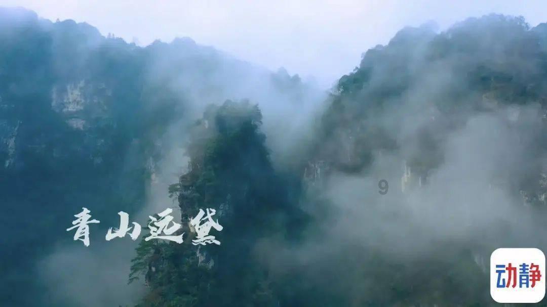 钟楚曦与侯雯元被曝分手后,尴尬合体营业,双方互动透着距离感